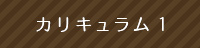カリキュラム1