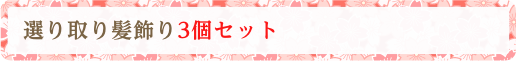 選り取り髪飾り3個セット